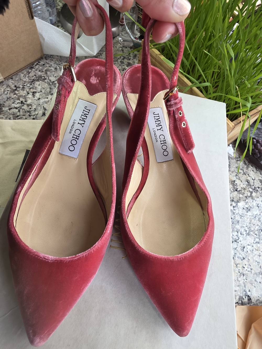 Jimmy Choo Raspberry Velvet Slingback Mules - Picture 2 of 11